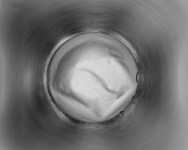 X0000086930811200705141741