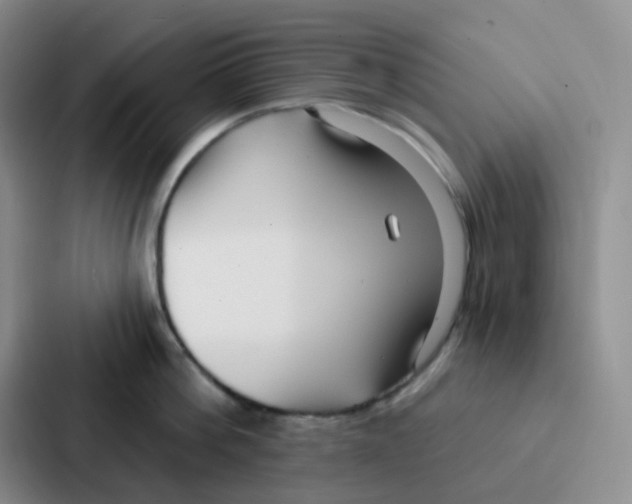 X0000086930812200705141741