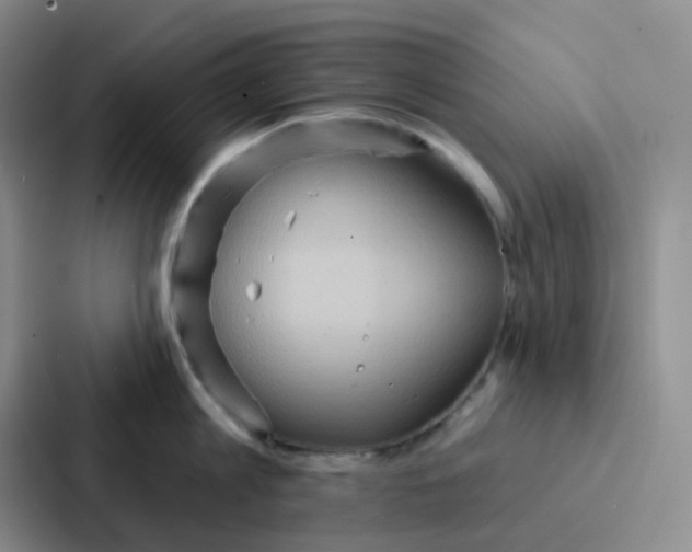 X0000086930813200705141741