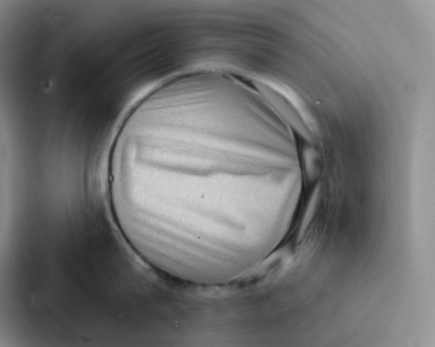 X0000086930815200705141741