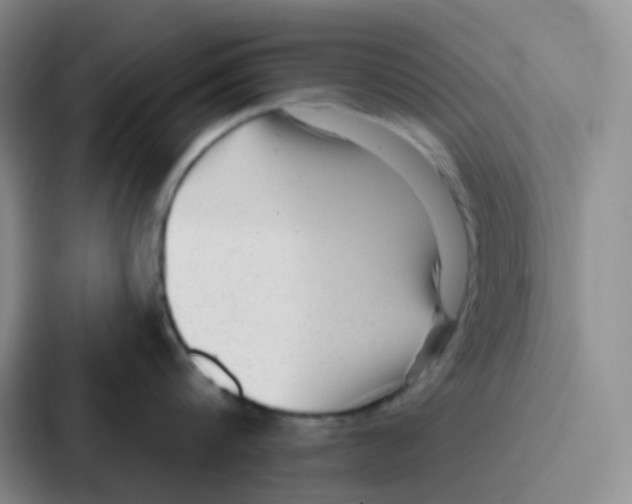 X0000086930816200705141741