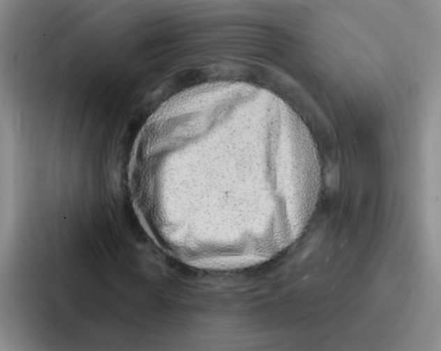 X0000086930819200705141740