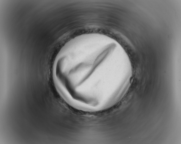 X0000086930821200705141740