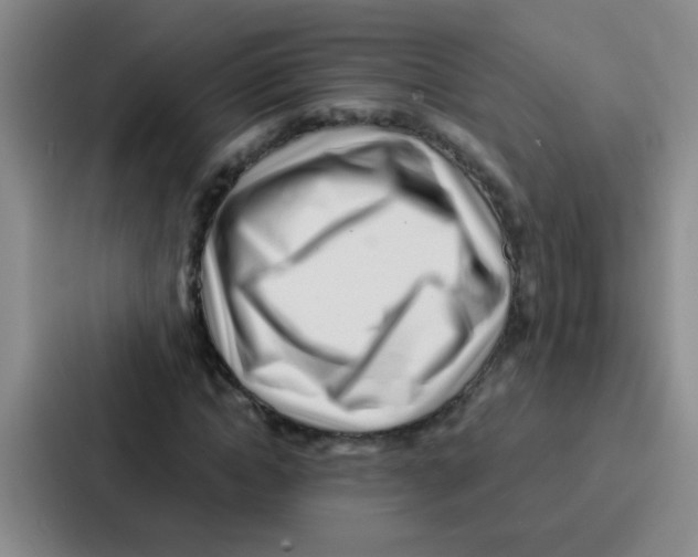 X0000086930822200705141740