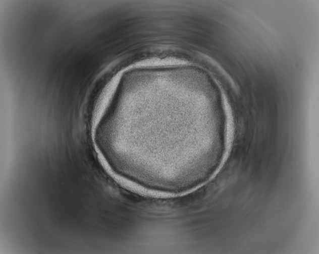 X0000086930823200705141740