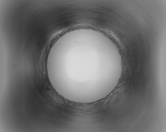 X0000086930824200705141740