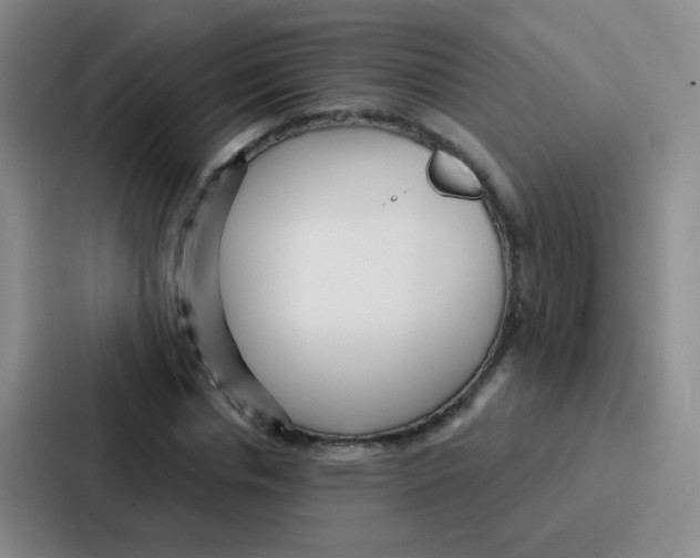 X0000086930826200705141740