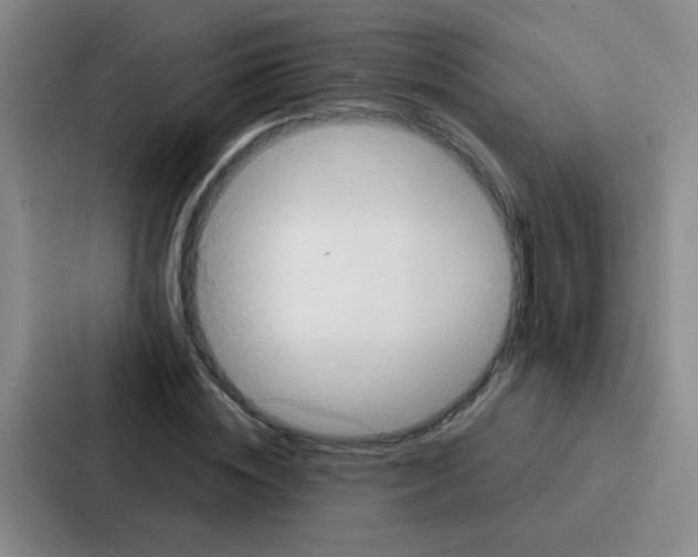 X0000086930828200705141740