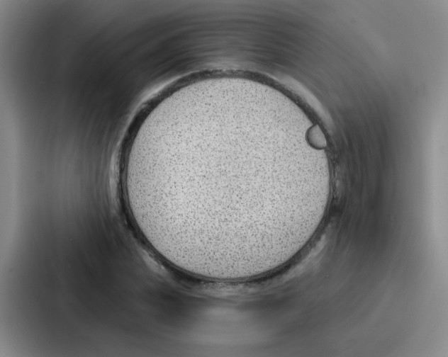 X0000086930831200705141740