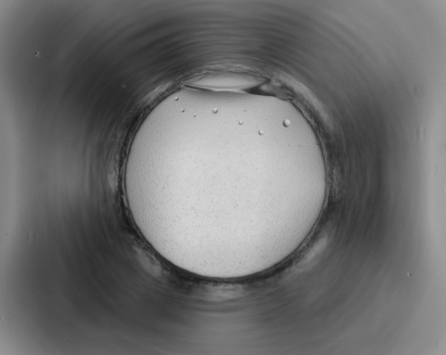 X0000086930833200705141740