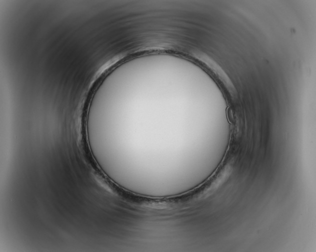 X0000086930834200705141740