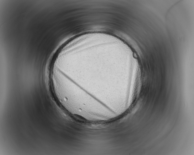 X0000086930835200705141740