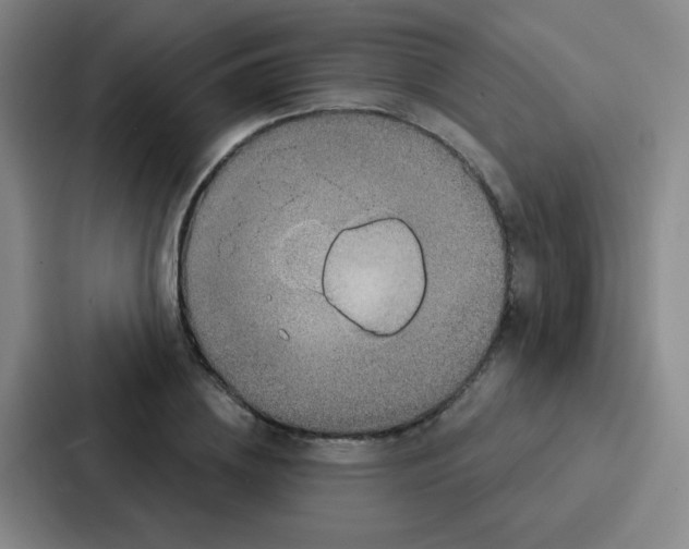 X0000086930836200705141740