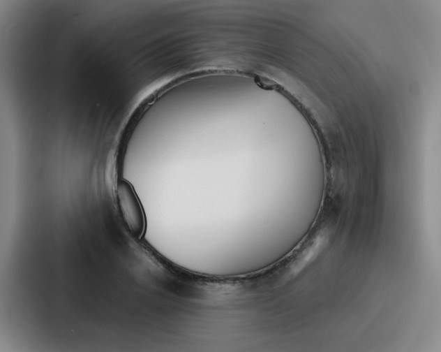 X0000086930838200705141740