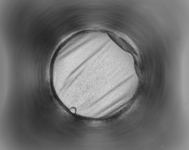 X0000086930839200705141740