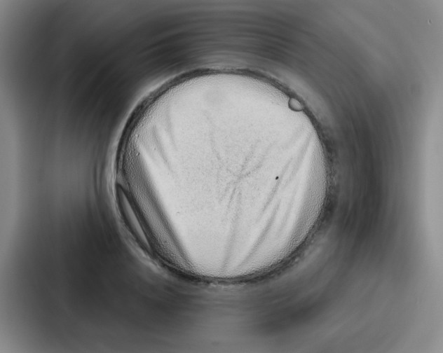 X0000086930840200705141741