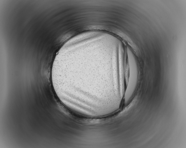 X0000086930841200705141741