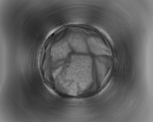 X0000086930842200705141741