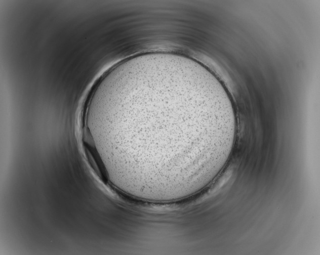 X0000086930843200705141741