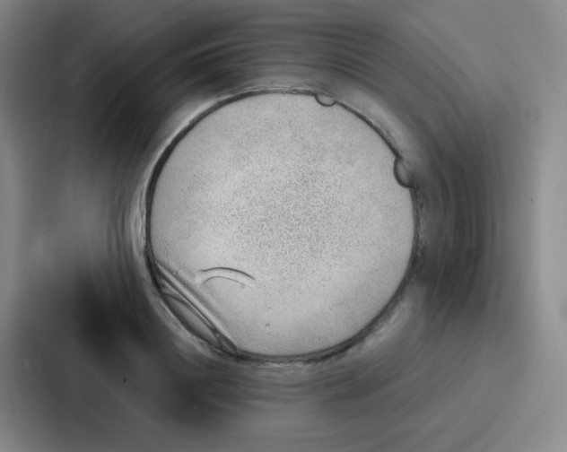 X0000086930844200705141741