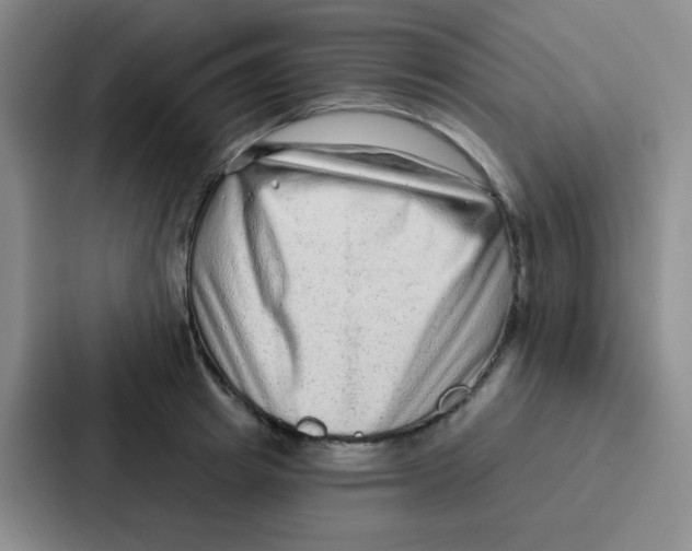 X0000086930849200705141741