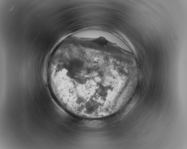 X0000086930851200705141741