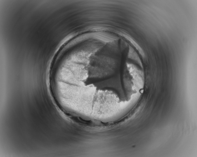 X0000086930853200705141741