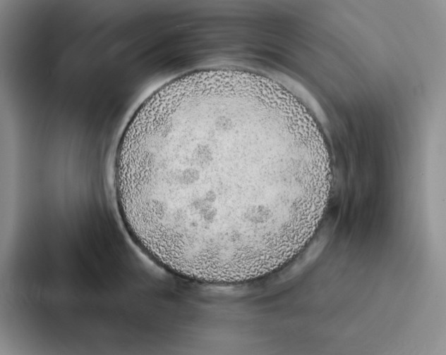 X0000086930855200705141741