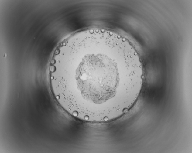 X0000086930856200705141741