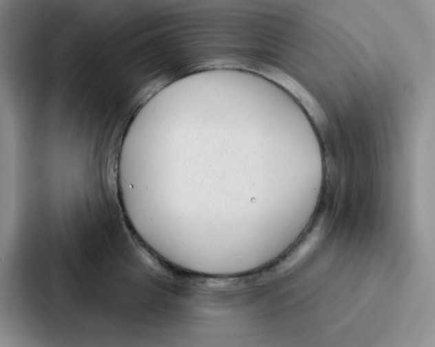 X0000086930857200705141741