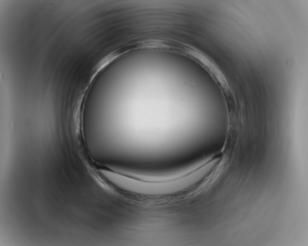 X0000086930858200705141741