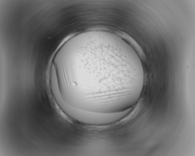 X0000086930860200705141741