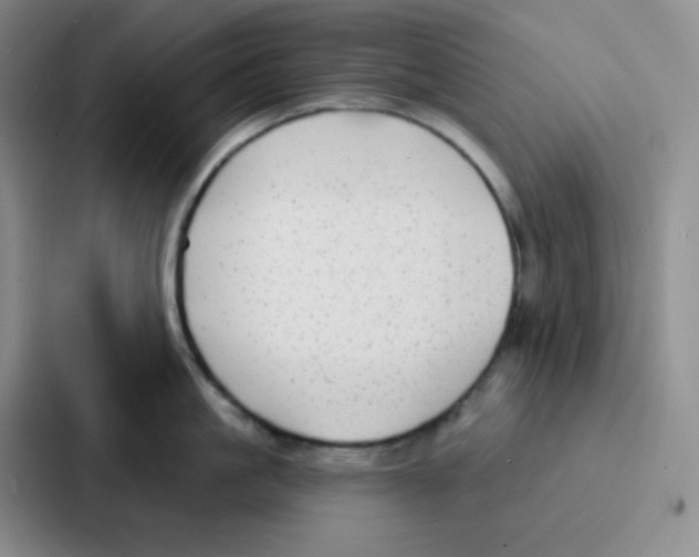 X0000086930861200705141741