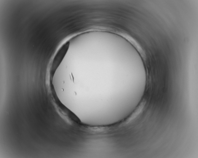 X0000086930862200705141741