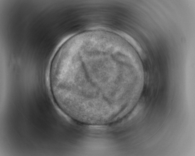 X0000086930863200705141741