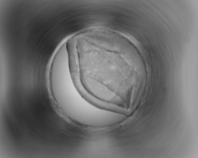 X0000086930864200705141741