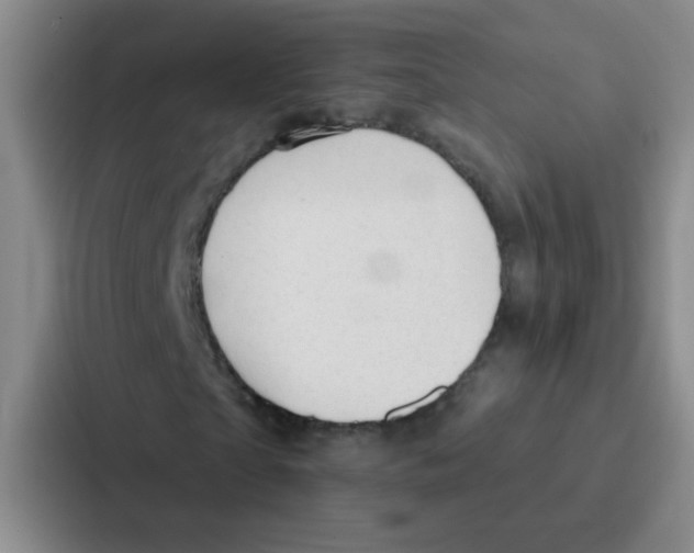 X0000086930865200705141740