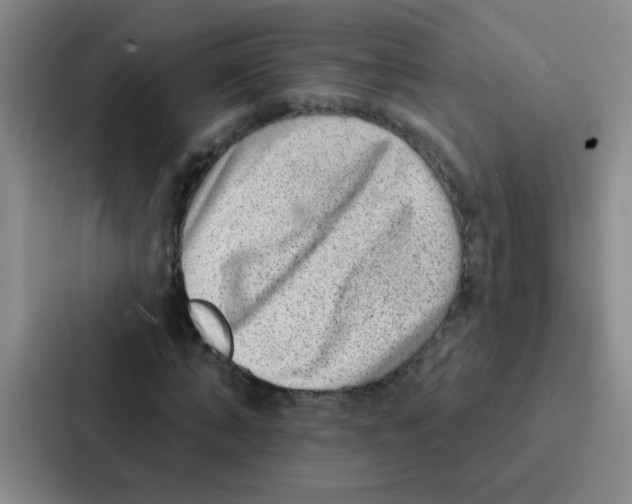 X0000086930870200705141740