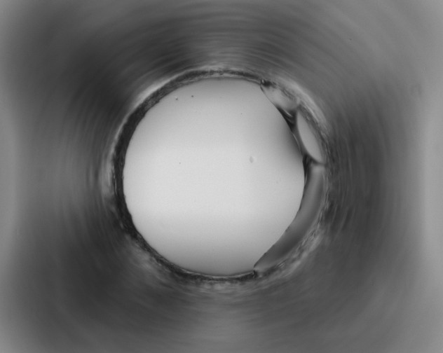 X0000086930876200705141740