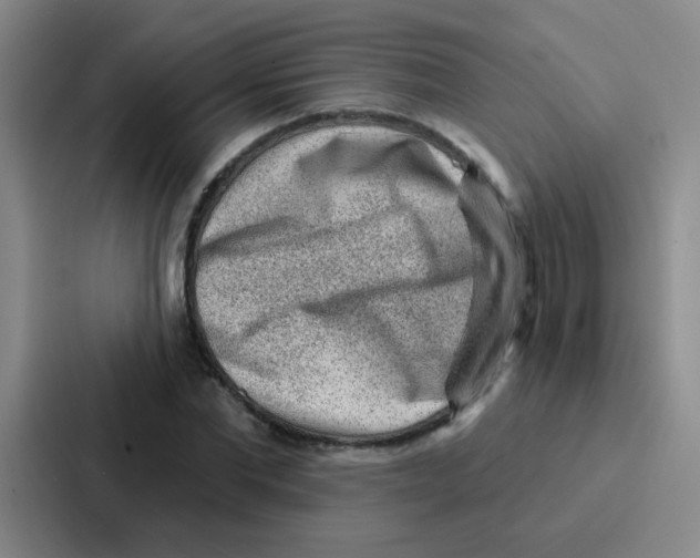 X0000086930877200705141740