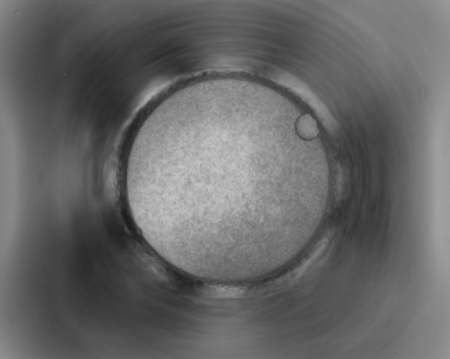 X0000086930878200705141740