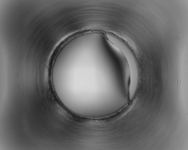 X0000086930880200705141740