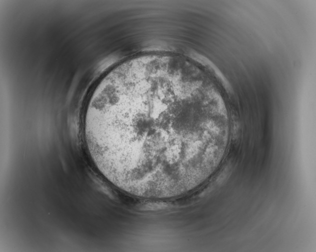 X0000086930882200705141740