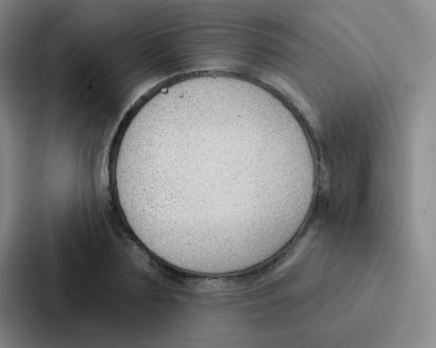 X0000086930883200705141740