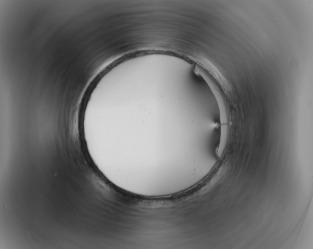 X0000086930884200705141740