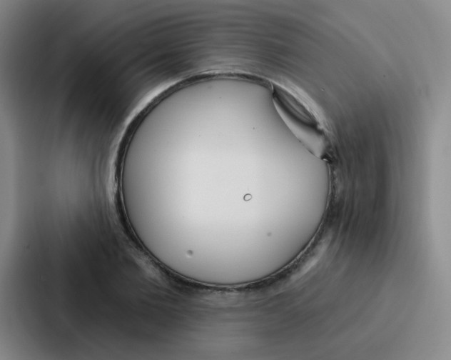 X0000086930885200705141740