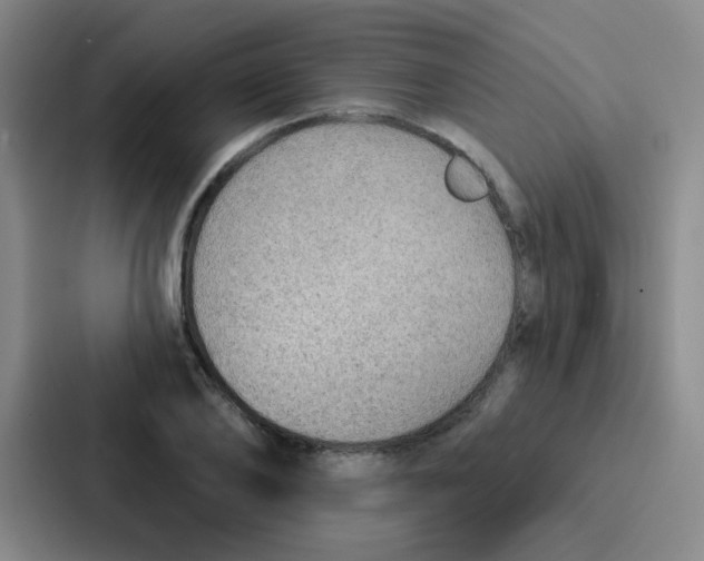 X0000086930886200705141740