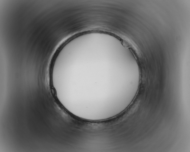 X0000086930888200705141740