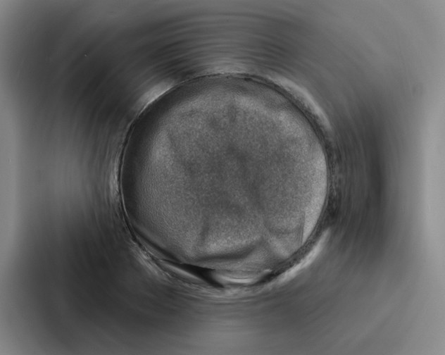 X0000086930889200705141740