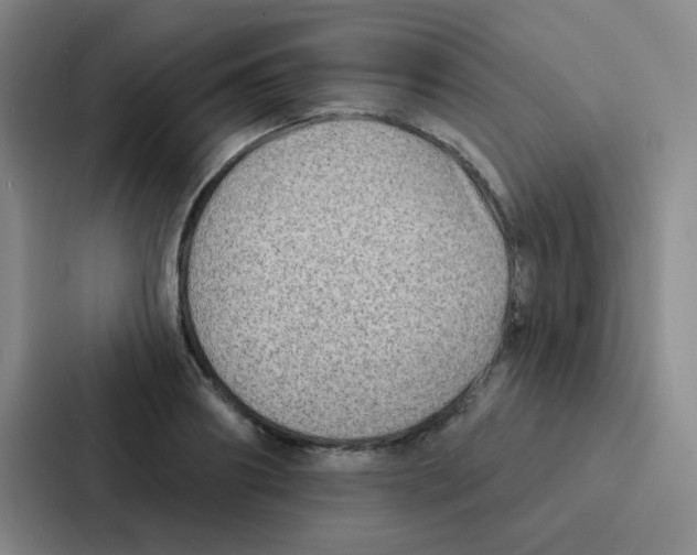 X0000086930890200705141740